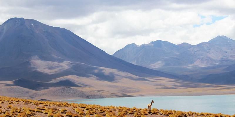 从收藏玩具到户外趣玩:潮流玩具如何重塑创意生活新方式