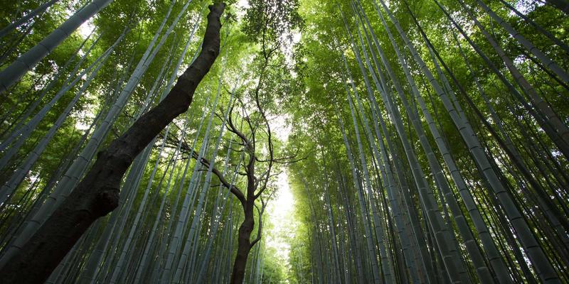 从极客礼物到收藏玩具：设计商品如何重塑创意生活场景