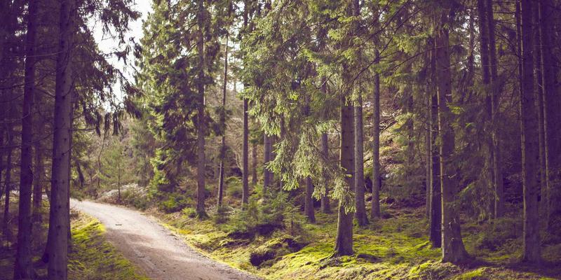 创意旅行用品盘点：让每一段旅程都充满巧思与便利