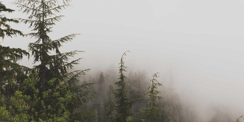 创意桌面生态：微景观与智能花盆如何打造治愈系办公环境 | 极客礼物与创意生活用品精选