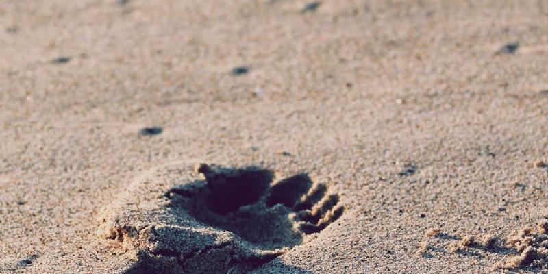 创意生活用品24选:极客礼物与趣玩好物,点亮日常的科技浪漫