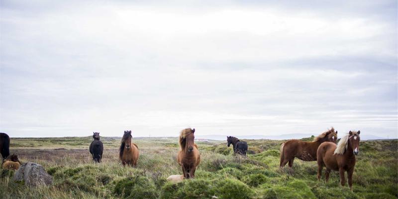 创意生活用品51：极客礼物指南与精选商城推荐