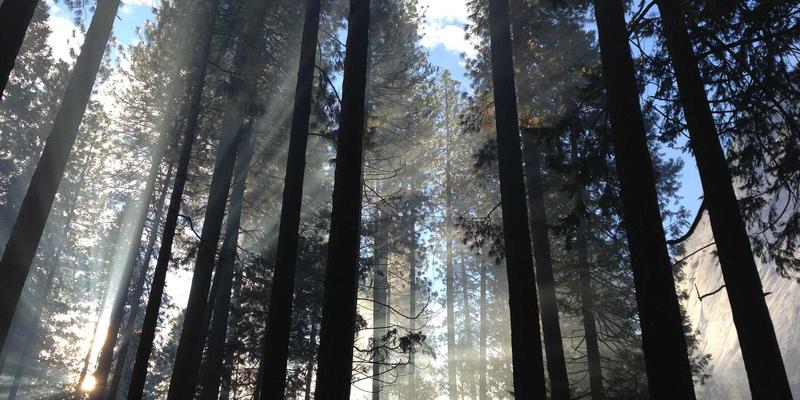 创意生活用品82：当设计商品遇见潮流玩具，打造极客礼物的终极指南