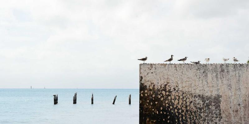 创意生活用品入门指南:用设计商品与趣玩好物点亮日常