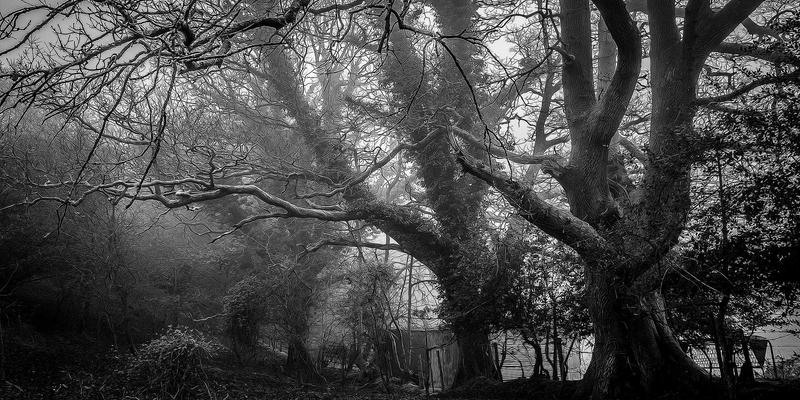 创意餐具进化论：当收藏玩具遇见极客礼物，重新定义餐桌仪式感