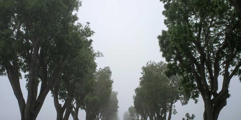 听觉盛宴：创意音响与音乐生活用品如何重塑家庭娱乐体验 | 极客礼物与收藏玩具新选择