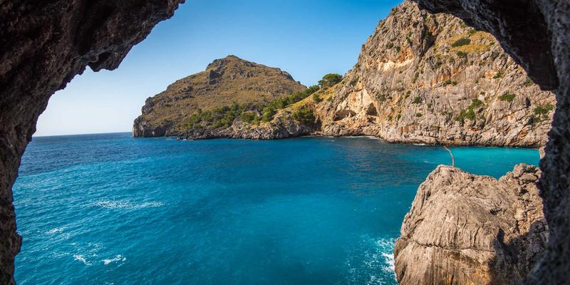 收藏玩具与设计商品:创意生活用品如何重塑日常美学