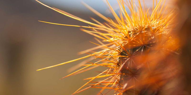 智能家居创意小物：在潮流玩具与设计商品商城中，用科技点亮日常趣味