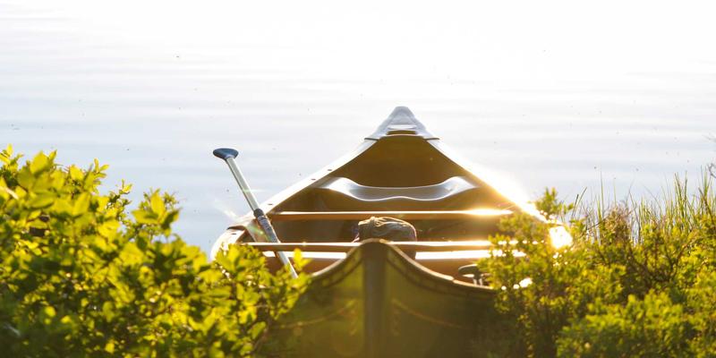 极客礼物新宠：探索可种植创意文具，在商城中发现可持续设计商品