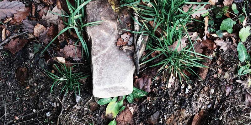 设计商品与趣玩：如何挑选点亮日常的创意生活用品？