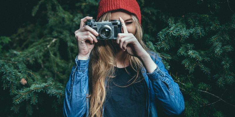 趣玩园艺：当收藏玩具遇见创意生活用品，打造你的治愈系绿色商城