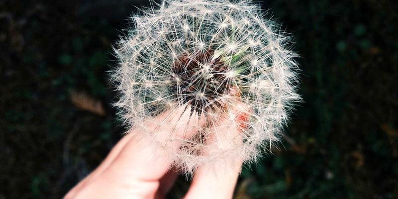 趣玩指南:创意生活用品与极客礼物全攻略,点亮日常科技美学