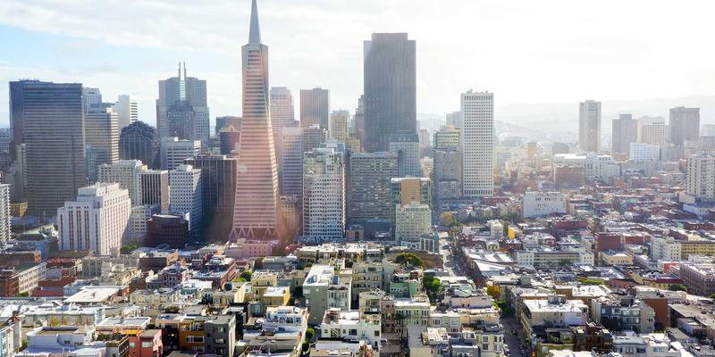 趣玩新主张：用极客礼物为爱宠打造智能有趣的居住环境 | 创意宠物生活设计指南