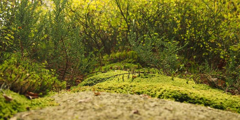 趣玩设计点亮日常：探索创意生活用品如何重塑你的生活方式
